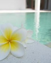 Leelawadee - Traditionnel Thai Massage Bild 2