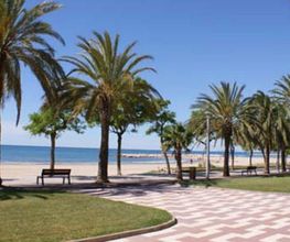 linea-playa-01.jpg