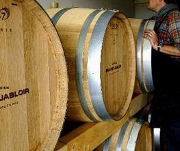 Domaine Bouvet-Jabloir - Auvernier - Neuchâtel Bild 15
