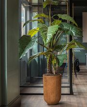 Plantyworks GmbH Bild 4