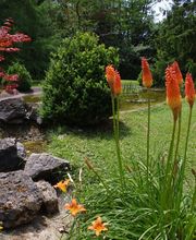 Hostellerie Restaurant Les Gorges de l'Aveyron image 6