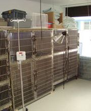 Kleintierpraxis Buchholz GmbH Bild 3