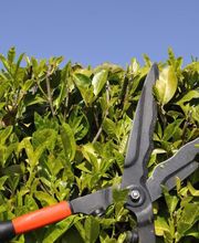 HGH Wagner Haus-Garten-Hof Bild 5