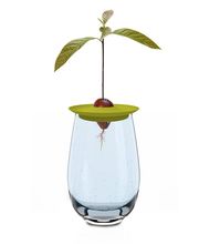 SaatGut Hassler Bild 2