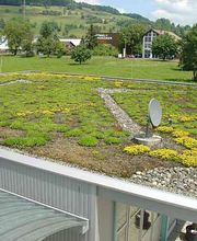 Lang Hans Gartenbau AG Bild 1