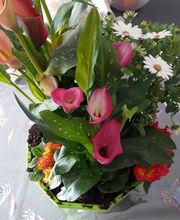 Audrey Fleurs image 5