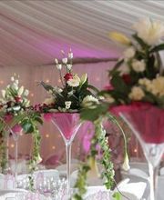 Avenue Location image 9