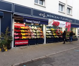 Monceau fleurs image 8