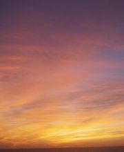 Favennec Françoise image 4