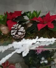 Des Fleurs En Plus image 17