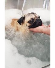 Baker Street image 11