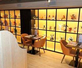 Gallery Cliente