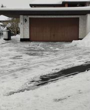 Der Grüne Flo Bild 2