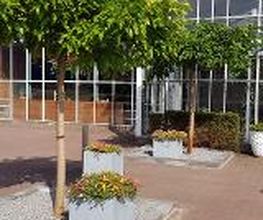 Intratuin Zwolle afbeelding 17