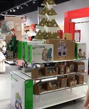 Orchestra MAUREPAS image 6