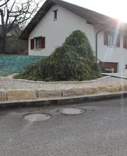 A.David Paysages Sàrl Bild 5