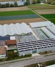 Jud Bio-Jungpflanzen AG Bild 3