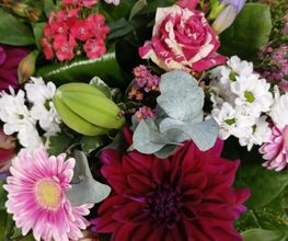 Nel Fleur image 11