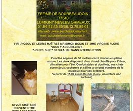 AUX CHATS DORMANTS image 1