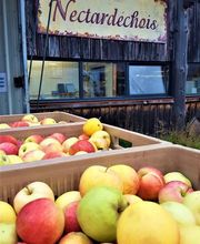 Nectardéchois image 1