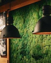 Frittenwerk Nürnberg Bild 3