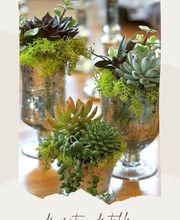 Service des fleurs image 8