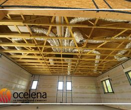 Ocelena image 11