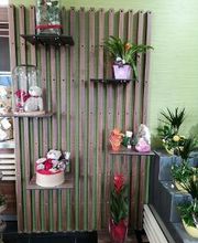 Carrément Fleurs - Fleuriste Tarbes 65 - Livraison de fleurs à domicile image 6