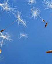 Ewald Gattlen AG Heizungen Visp