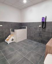 ZOOMALIA Foix 09 | Animalerie image 14