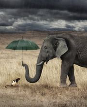 Spitex ACAM Associazione Cura e Assistenza a domicilio nel Moesano Bild 8