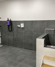 ZOOMALIA Barbezieux-Saint-Hilaire 16 | Animalerie image 6