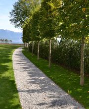 Dimensions Paysage SA Bild 14