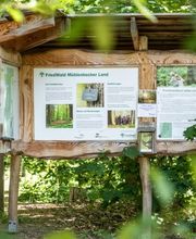 Die Infotafel am Parkplatz gibt einen Überblick über den Wald und das Konzept.