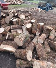 Rhône-alpes-bois image 6