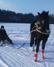 Reitschule Hess Bild 2