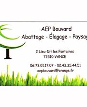 AEP image 1
