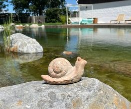 Zagray Garten & Landschaftsbau Bild 8