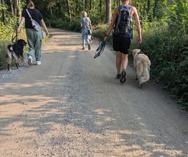 natural.dogs. Bild 12
