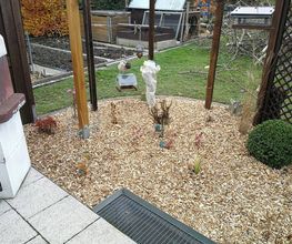 Grüner DauMen Bild 1