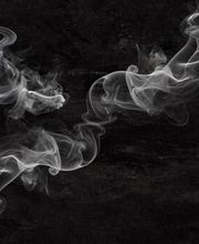 banner pief-leaf