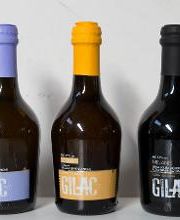 All Beers srl immagine 15