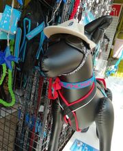 Le Cabot Elegant image 18