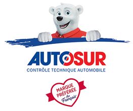 Autosur image 1