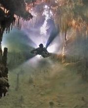 Jaguar Divers - Dive Shop in Playa del Carmen imagen 15