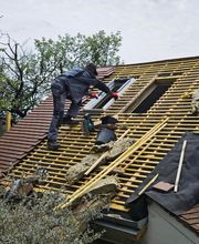 Dagnicourt Ets image 4