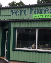 Vert Forest Fils image 1