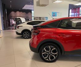 DS Store image 11