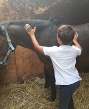 Ruitersportcentrum Seurenheide