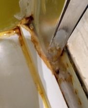 Bodey Olivier image 4